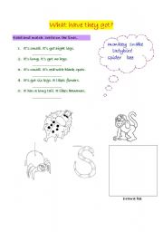 English worksheet: Animals, read, match and write