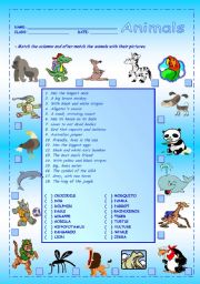 English Worksheet: Animals