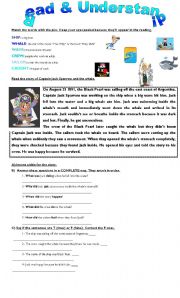 English worksheet: reading jack sparrow