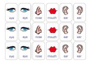 English Worksheet: Make a face