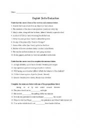 English Worksheet: English Skills Evaluation