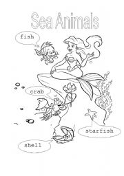 English Worksheet: Sea animals