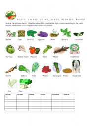 English Worksheet: FOOD -PARTS OF THE PLANT