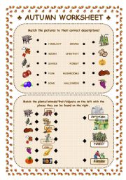 Autumn worksheet