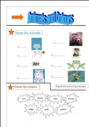 English worksheet: Fun Animal Pictures