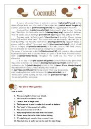 English Worksheet: Coconuts!