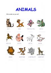 English Worksheet: animals