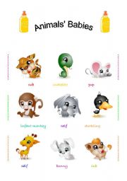 English Worksheet: Animals babies ( 3 PAGES/ PRACTISE INCLUDED)