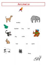 English worksheet: Animals