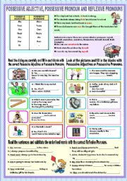 English Worksheet: Possessive adjectives and pronouns and Reflexive Pronouns