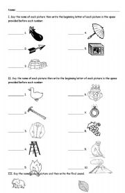 English worksheet: reading