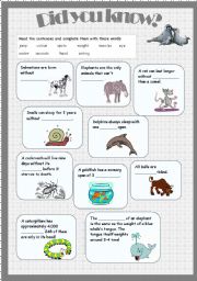 English Worksheet: animal facts2 - did you know?