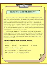 Reading Comprehension