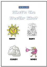 English Worksheet: Whats the Weather Like?