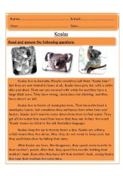 English Worksheet: Koalas