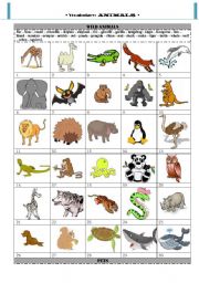 English Worksheet: Vocabulary: animals