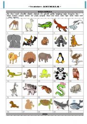 Vocabulary: animals