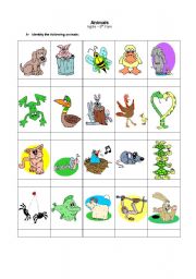 English Worksheet: Animals