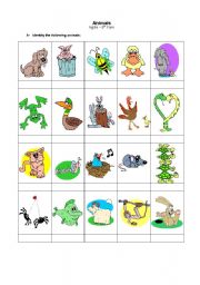 English worksheet: Animals