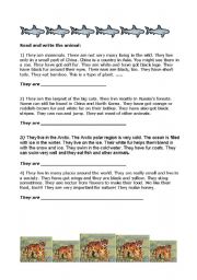 English Worksheet: Animal Riddles