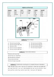 English Worksheet: Adjectives of animals