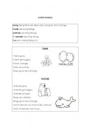 English Worksheet: Living and nonliving things