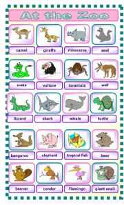 English Worksheet: At the Zoo