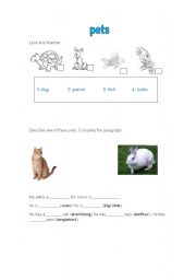 English worksheet: pets