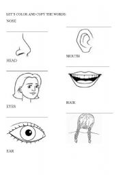 English worksheet: PARTS OF YOUR FACE