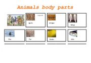 English Worksheet: Animals 