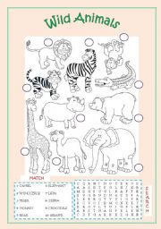 English Worksheet: WILD ANIMALS