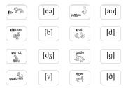 The International Phonetic Alphabet - File cards 2/3