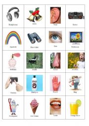 5 Senses Cards and Game