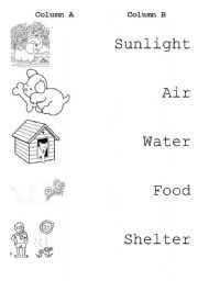 English Worksheet: Living things