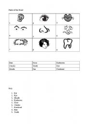 English worksheet: Parts of the Head