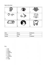 English Worksheet: Parts of the Head