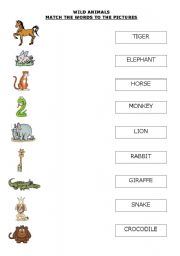 English worksheet: WILD ANIMALS