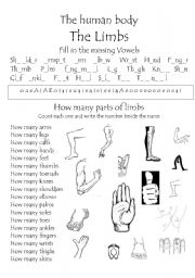 The Human Body - The Limbs final worksheet