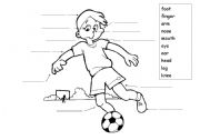 English Worksheet: Body Parts