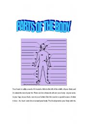 English worksheet: parts of teh body