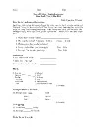 English worksheet: Reading and Grammar test