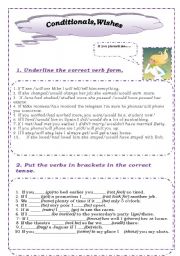 English Worksheet: conditionals, wishes