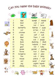 English Worksheet: Can you name the baby animals?