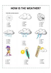 English Worksheet: weather