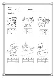 English worksheet: Animals