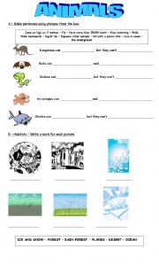 English worksheet: Vocabulary: Animals  and Habitats