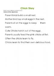English worksheet: Chick story