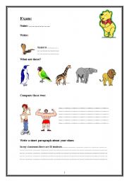 English worksheet: Exam 4