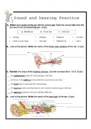 Sound and hearing practice