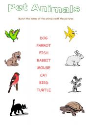 English Worksheet: Pet Animals